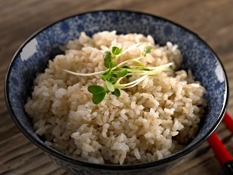 Regular Milled Long Grain Brown Rice