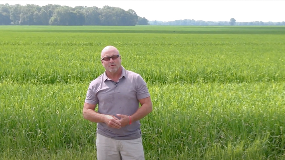 Producers Rice Mill June 2020 Report with Jay Coker