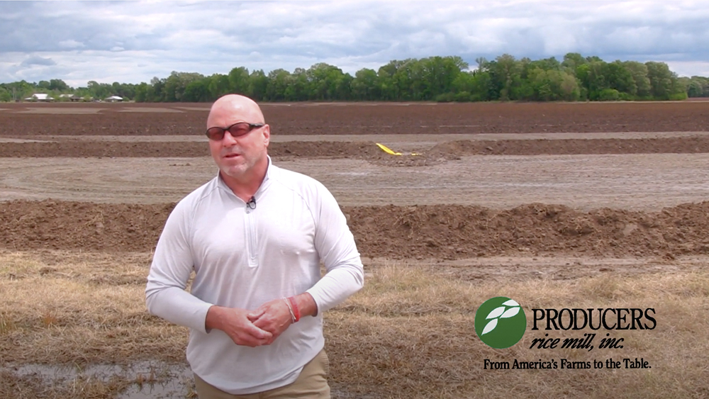 Producers Rice Mill April 2020 Report with Jay Coker