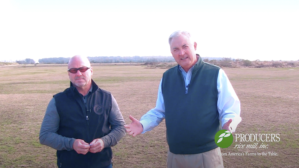 Producers Rice Mill - Sun Power!