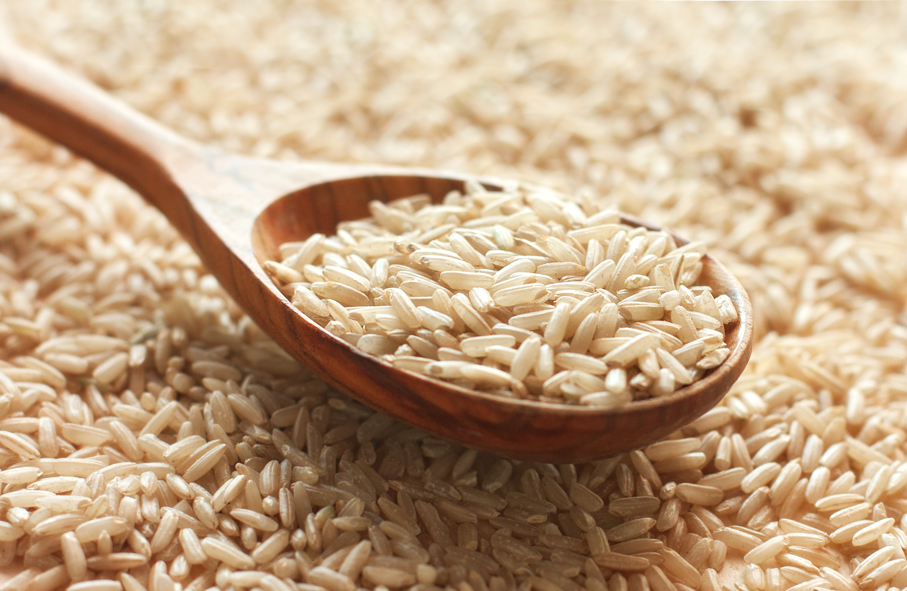 Long Grain Brown Rice