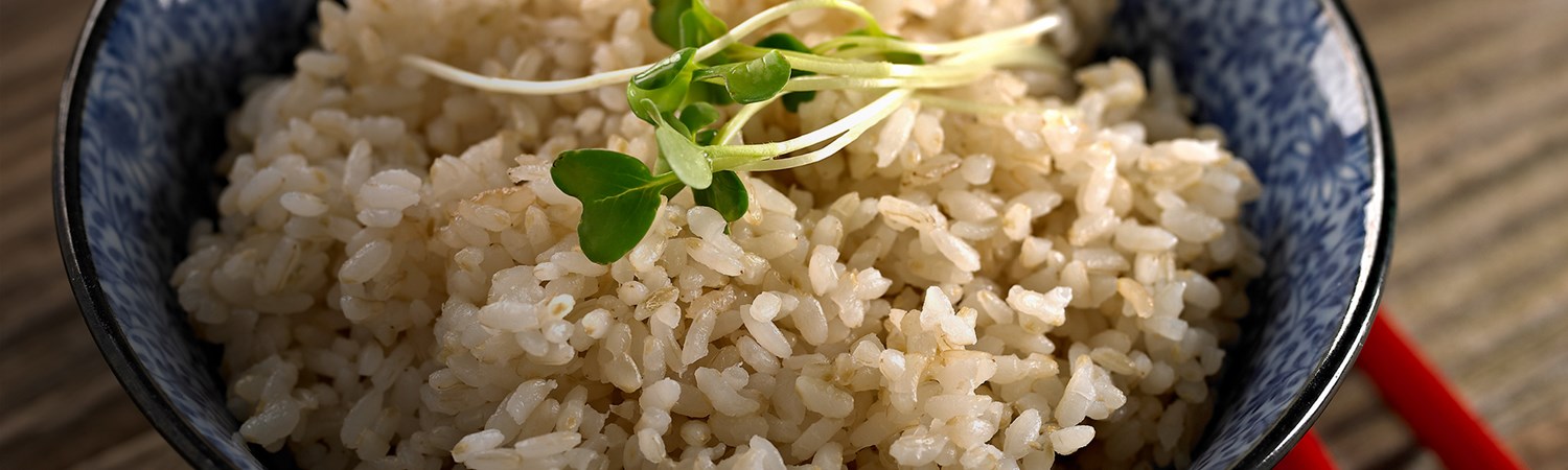 Regular Milled Long Grain Brown Rice