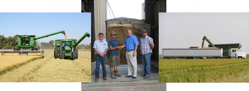 farmer-members